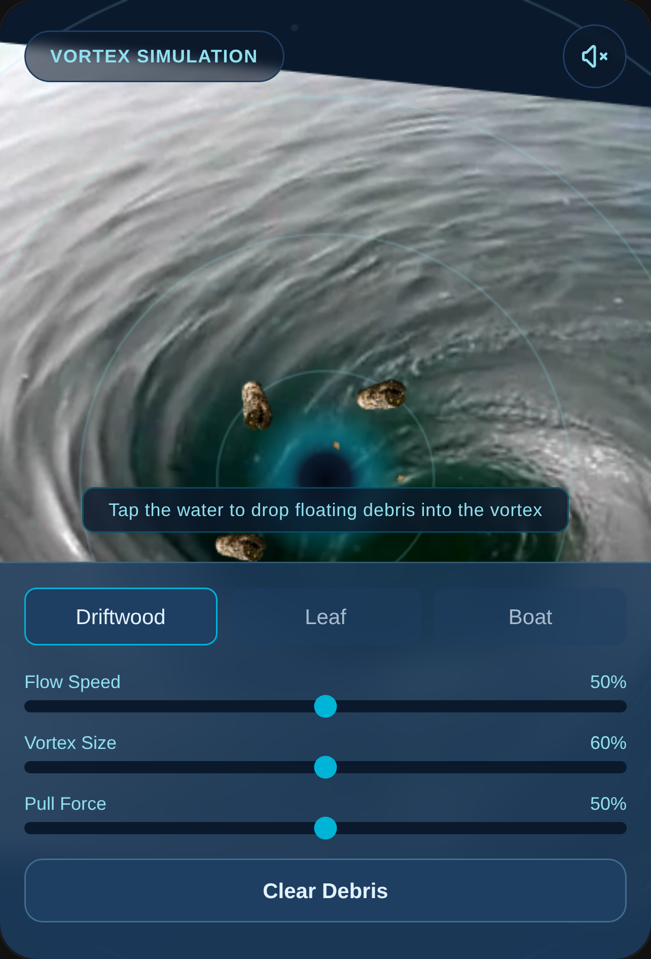 Vortex Simulation cover