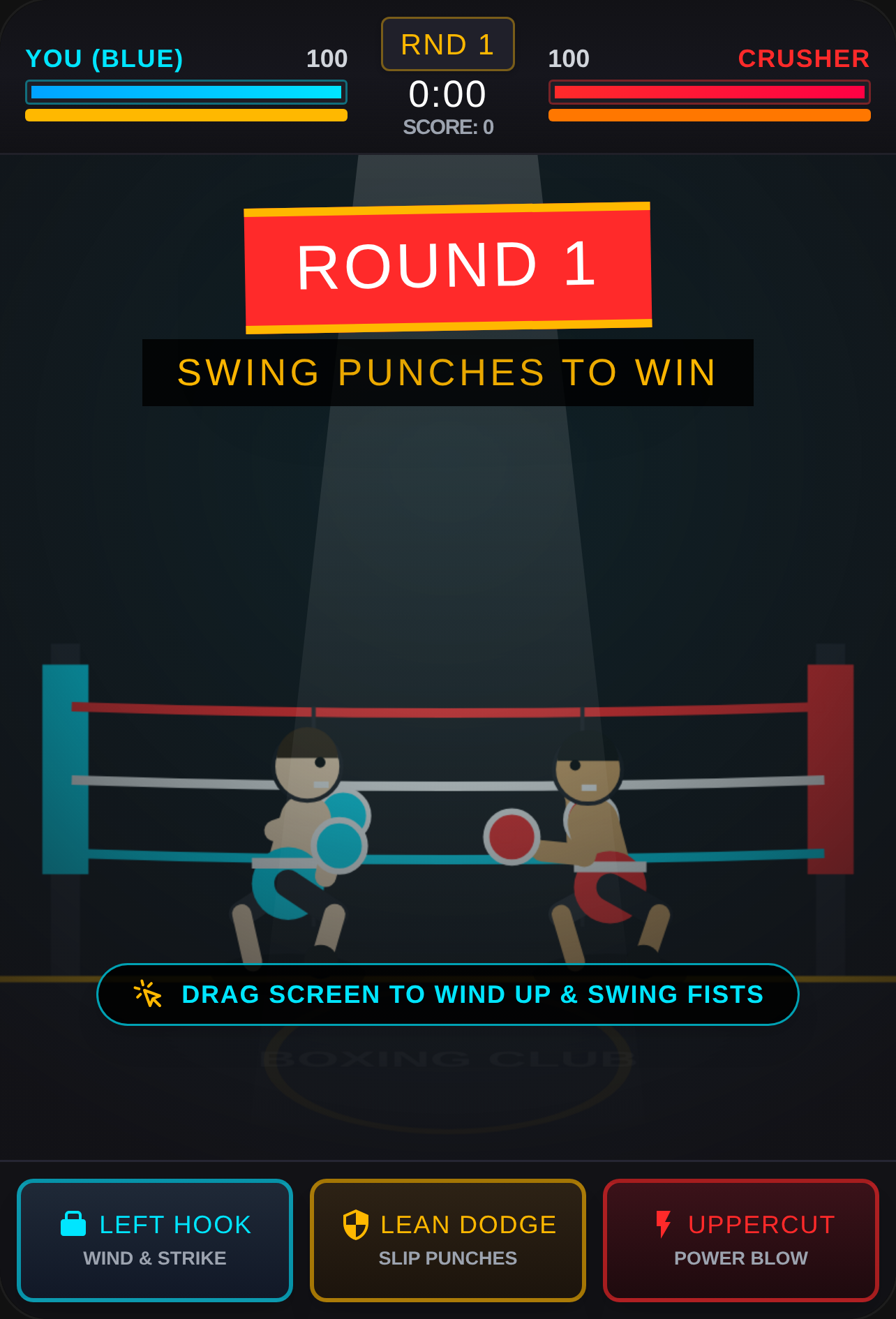 Ragdoll Boxing Championship cover