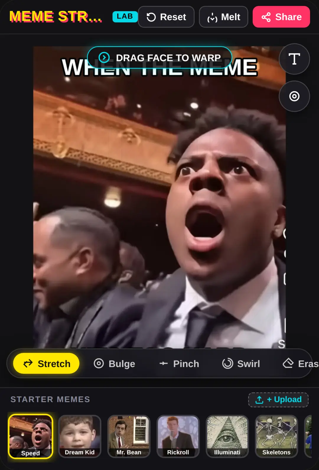 Meme Stretcher cover