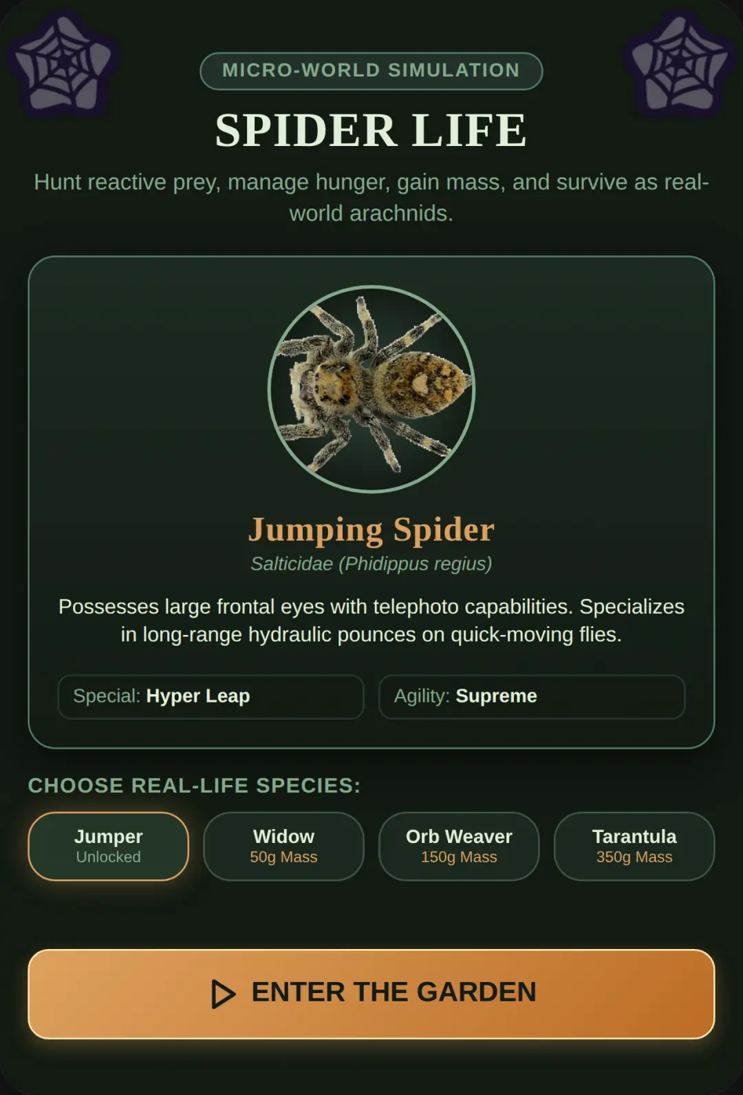 Spider Life: Real Species Simulator cover