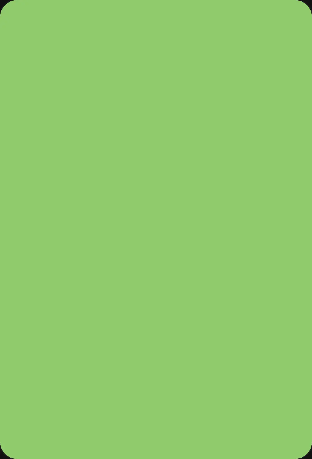 Capybara Town cover