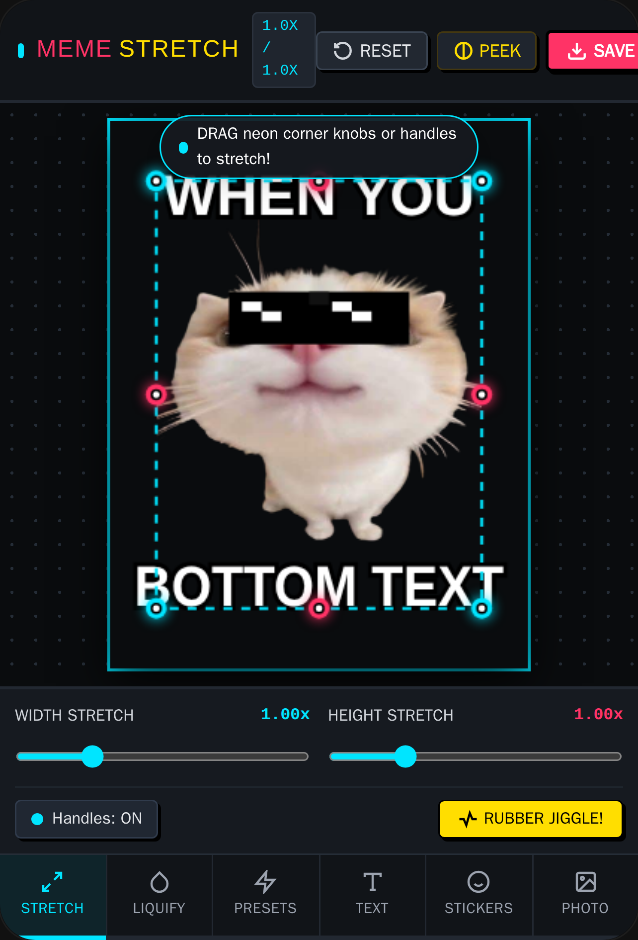 Photo Stretcher & Meme Lab cover