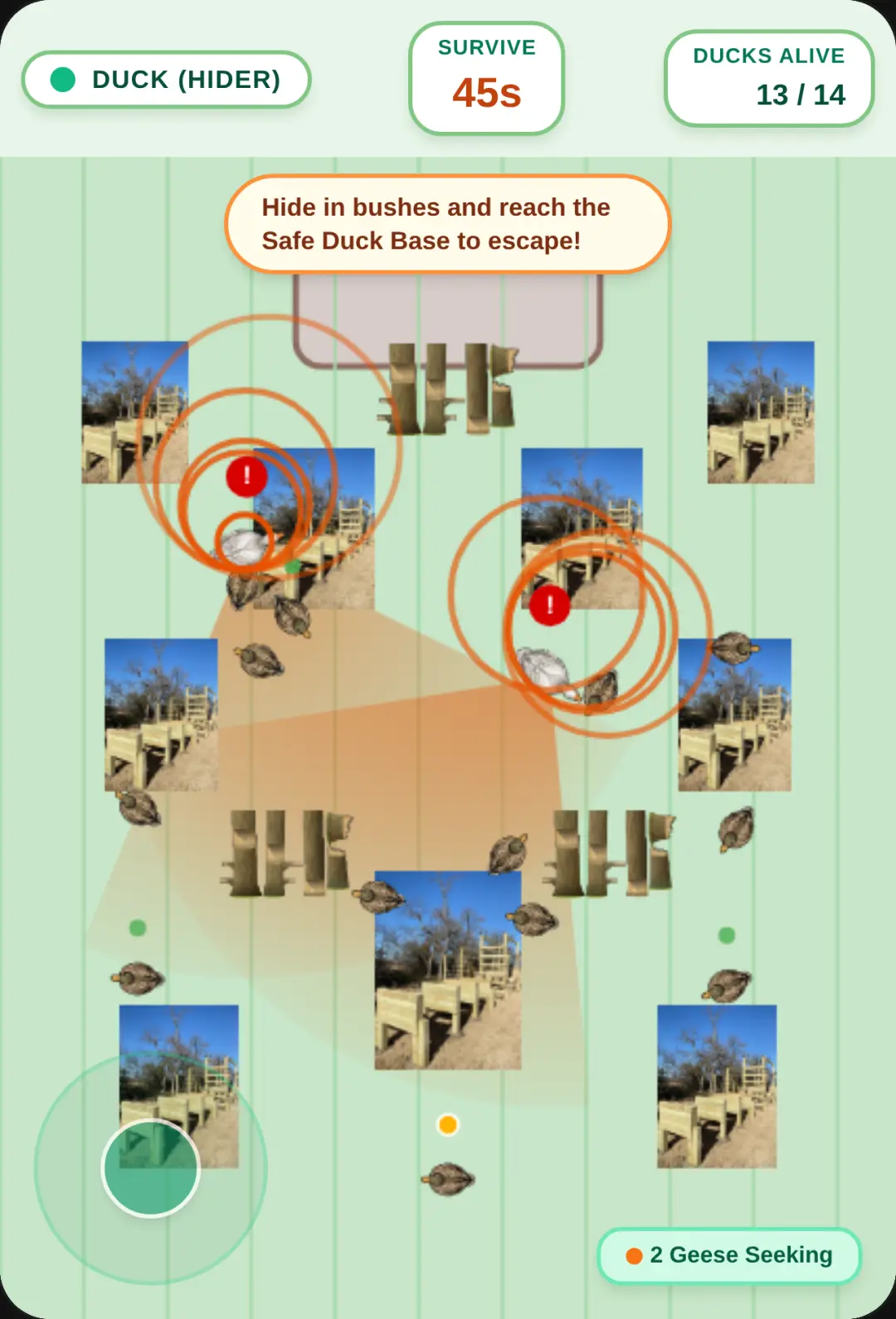 Duck vs Goose: Hide & Seek cover