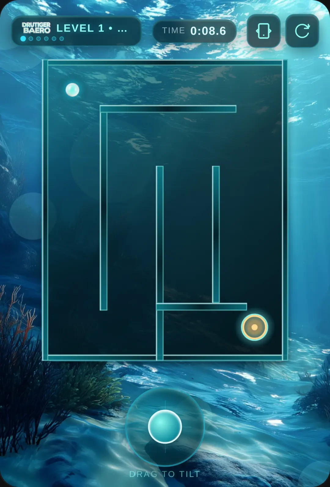 Drutiger Baero: Tilt Maze cover