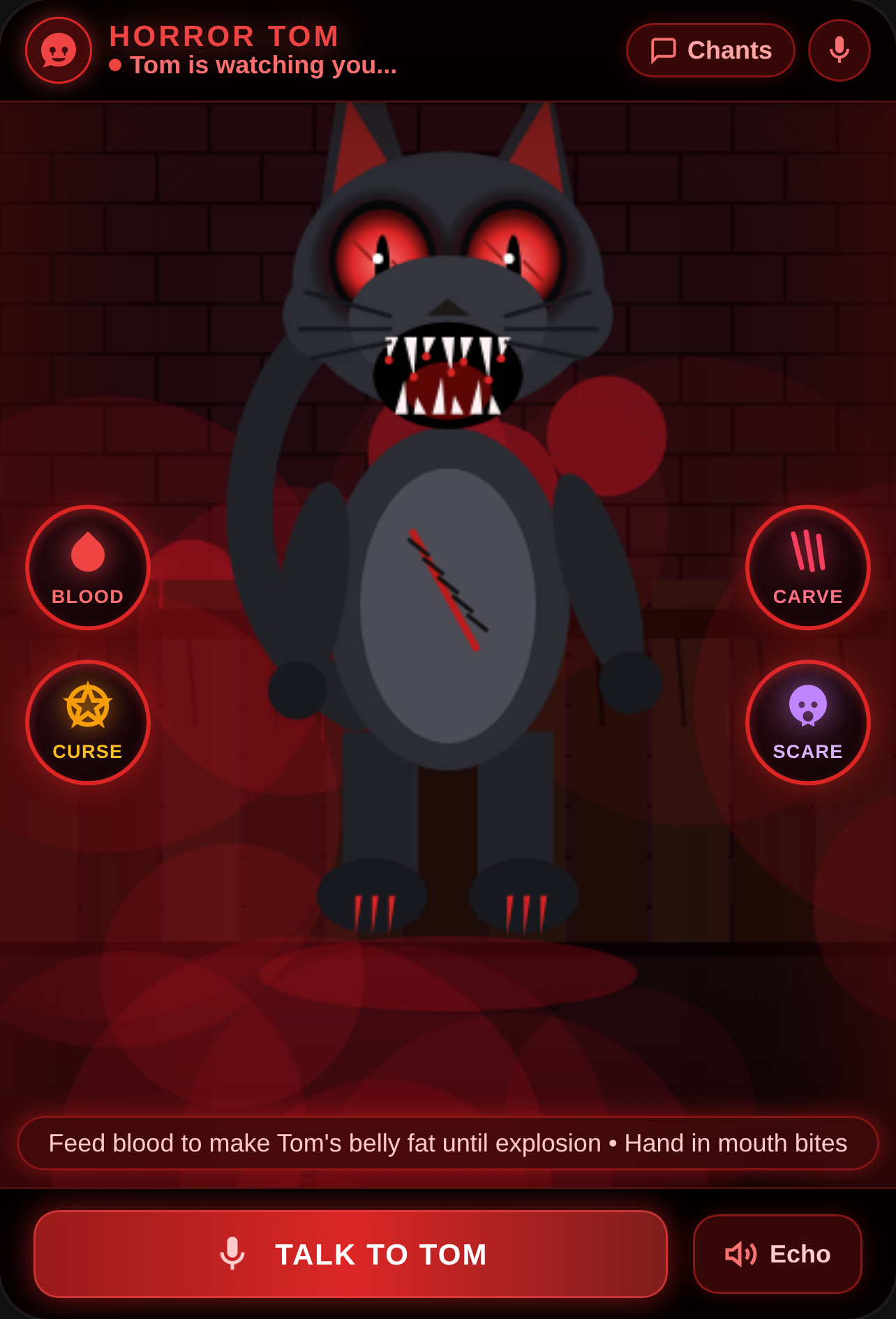 Horror Talking Tom (WARNING VERY LOUD NOISE) cover