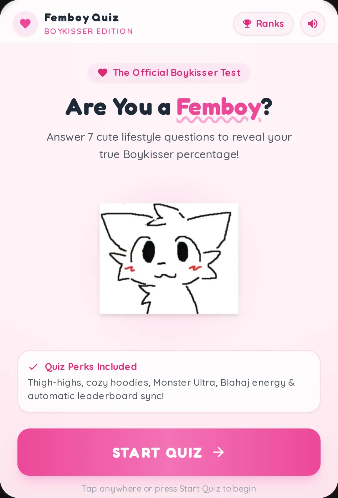 Femboy Test cover