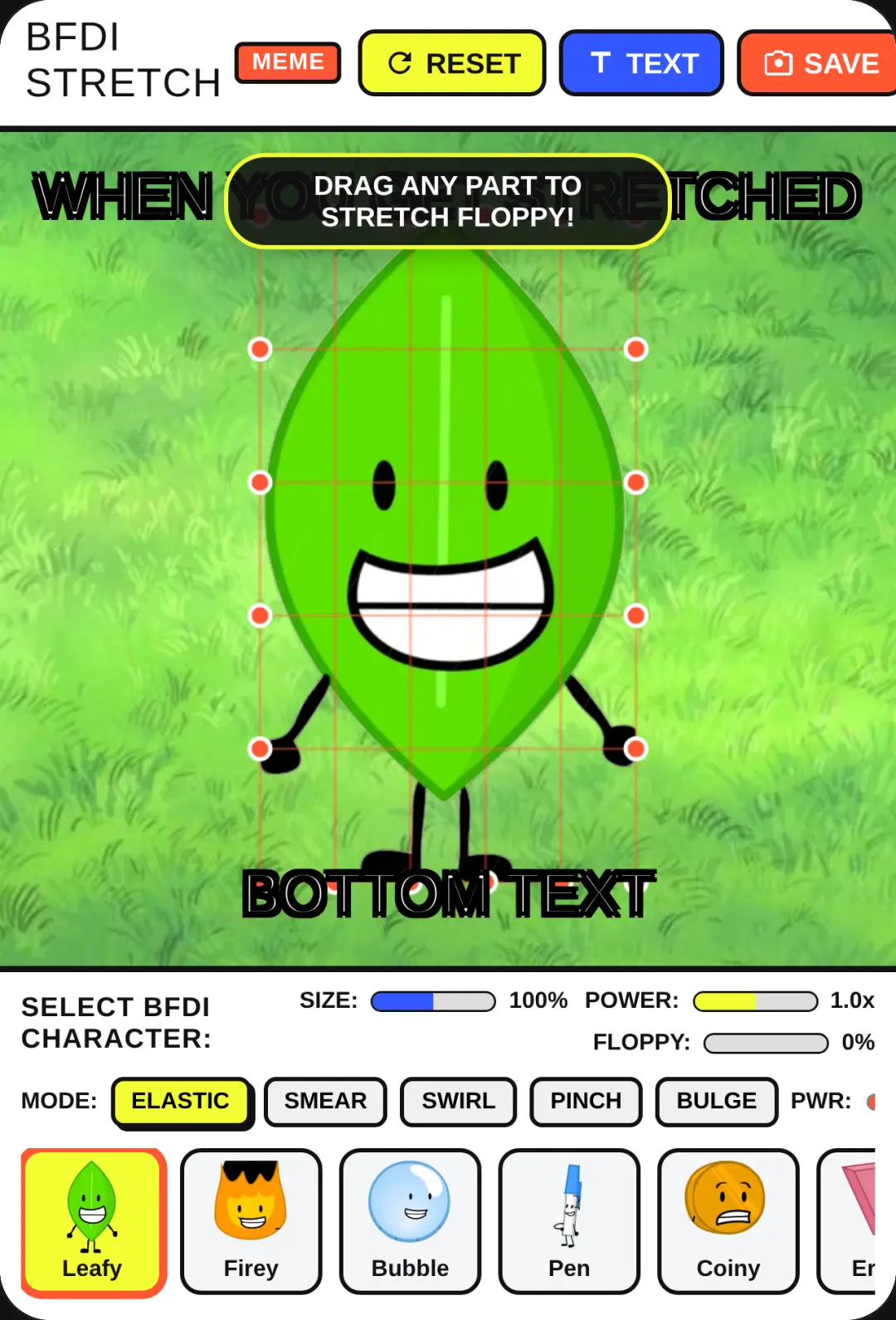 BFDI Meme Stretcher cover