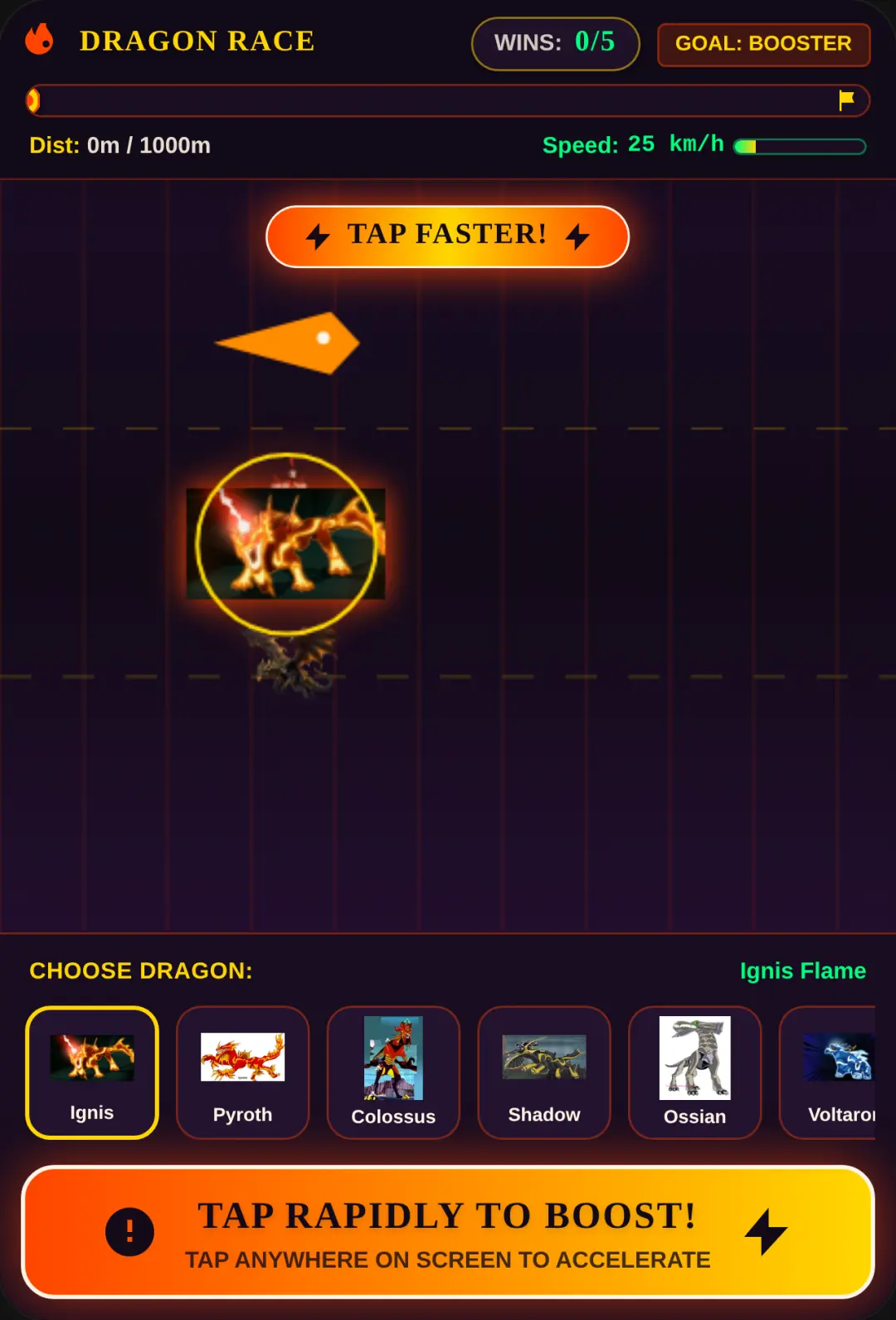 Dragon Booster Race cover