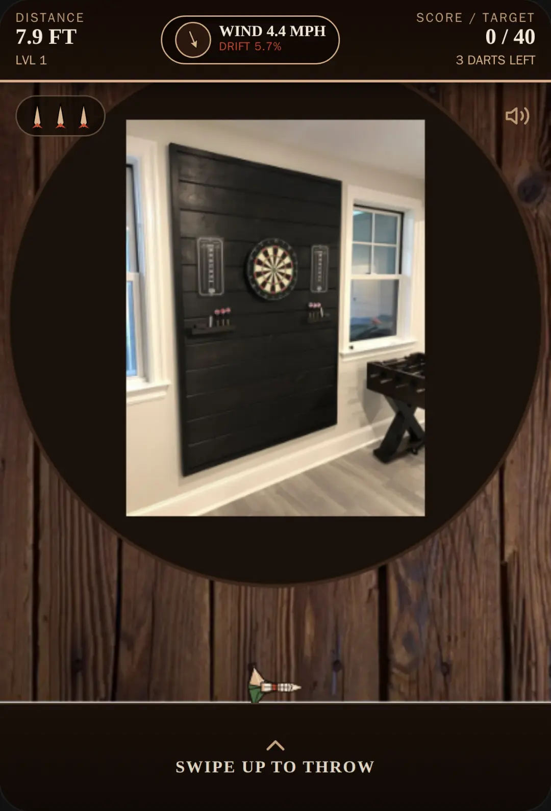 Windy Darts cover