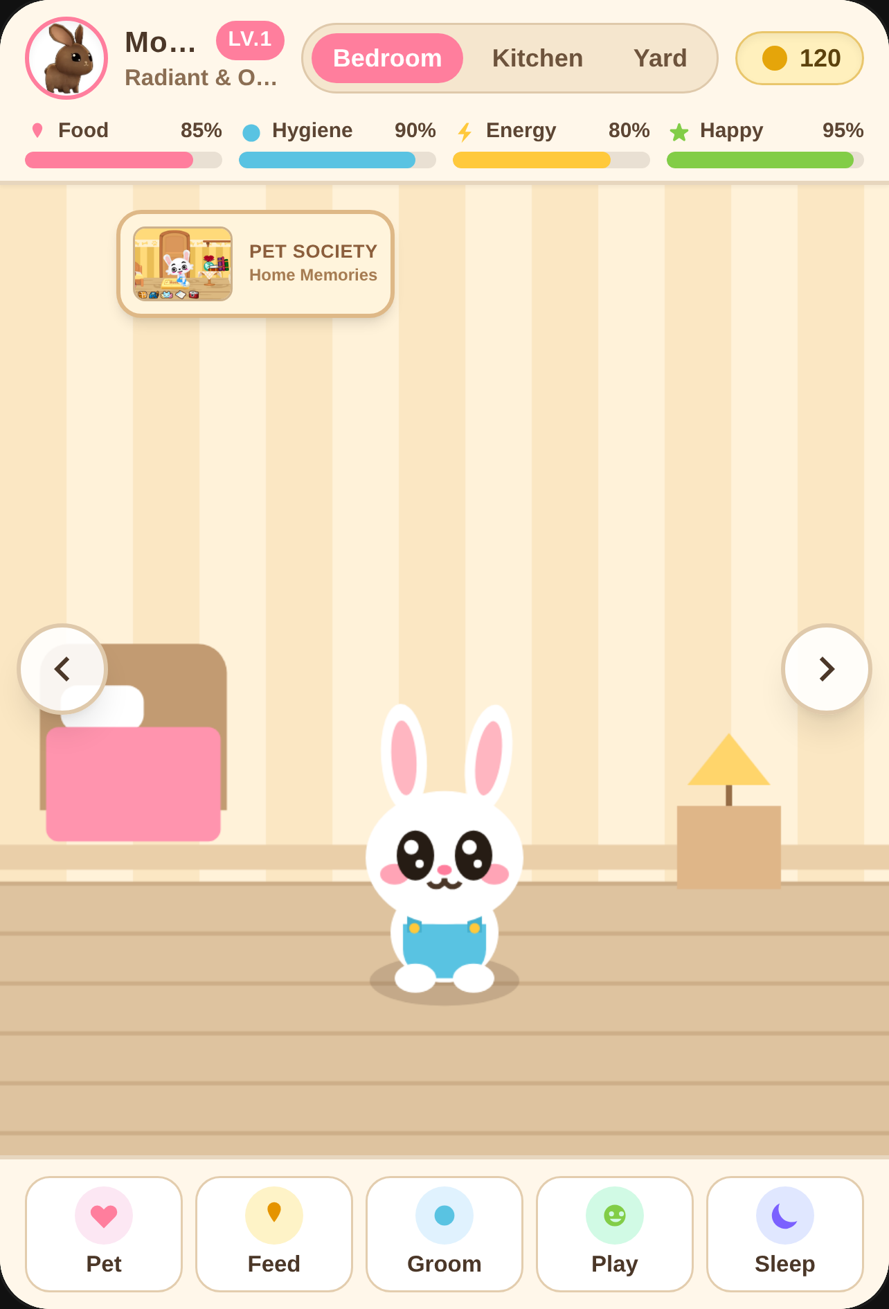 Pet Society House cover