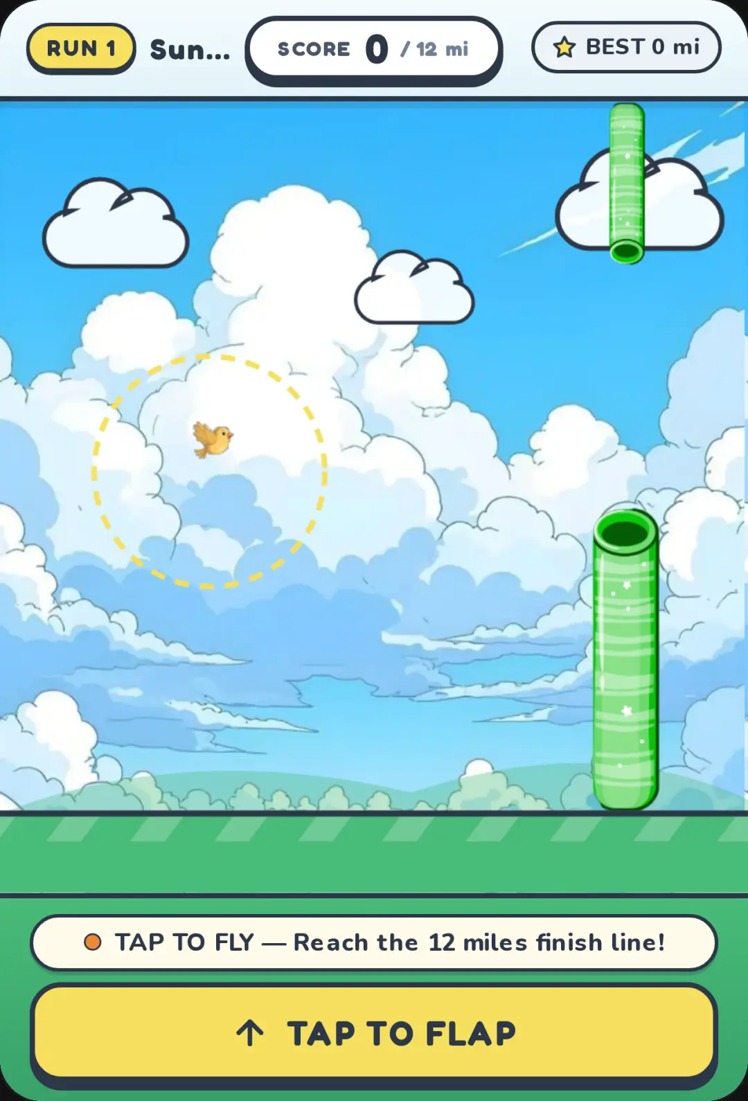 Sunny Flap 1667 cover