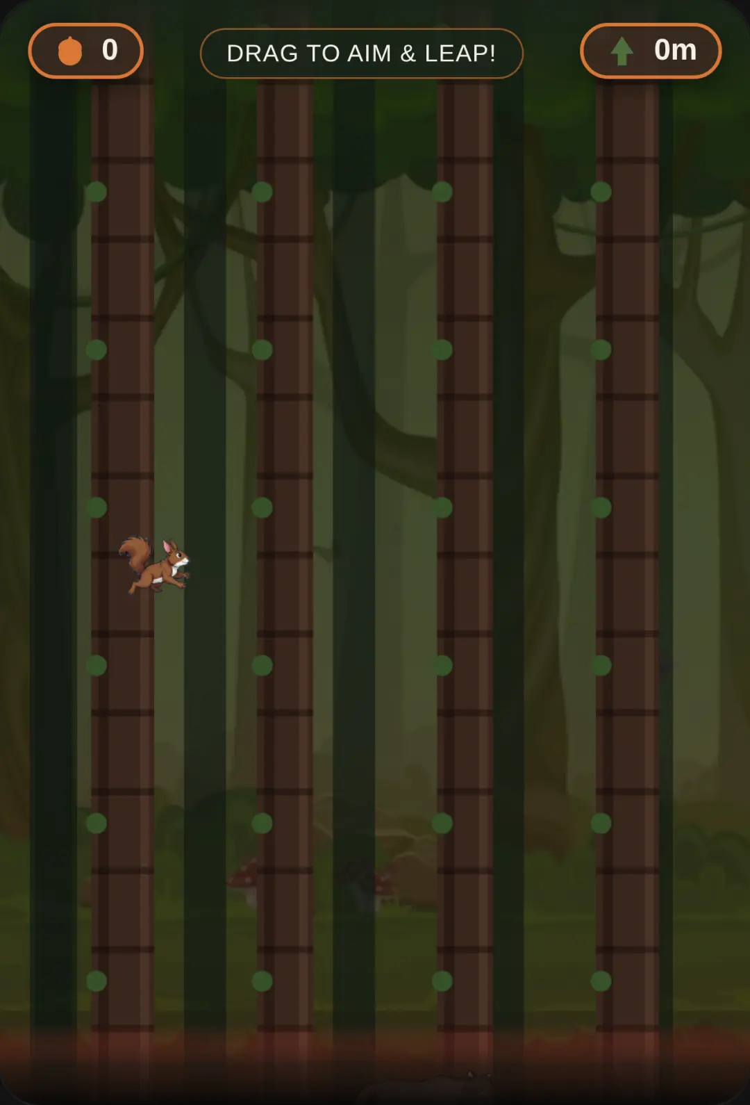 Squirrel Leap: Forest Escape cover