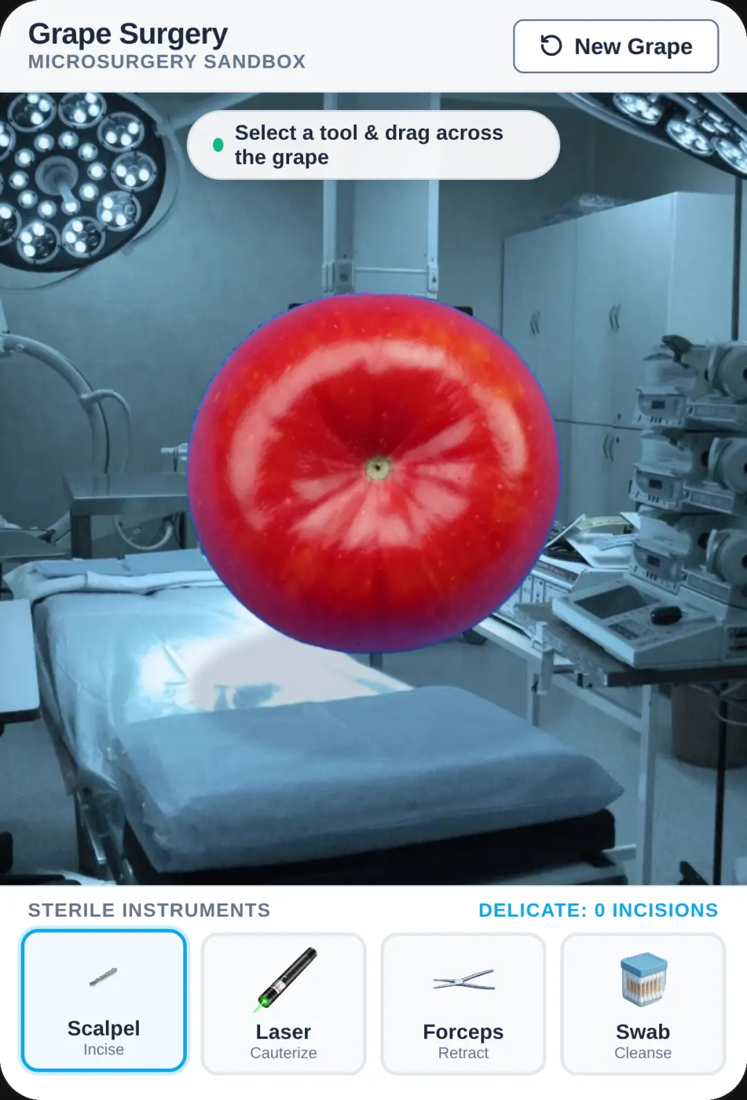 Grape Surgery Sandbox cover