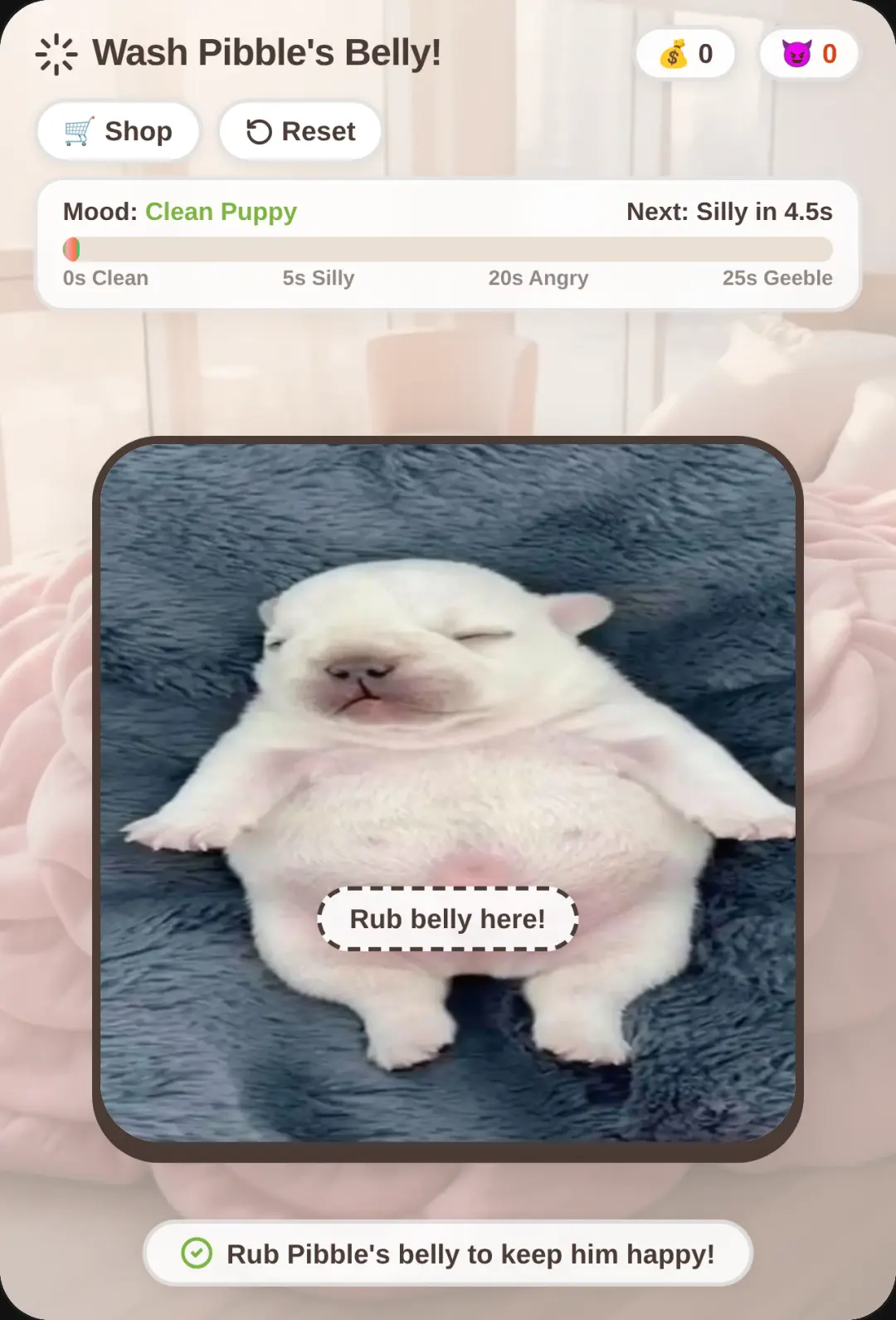 Wash Pibble's Belly! cover