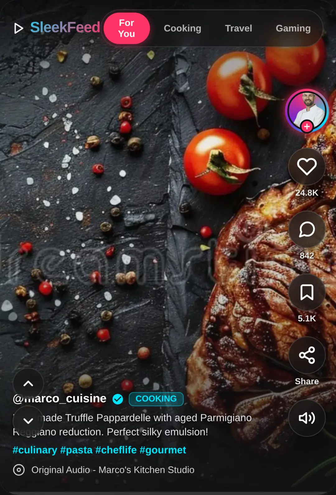 SleekFeed Video Gallery cover