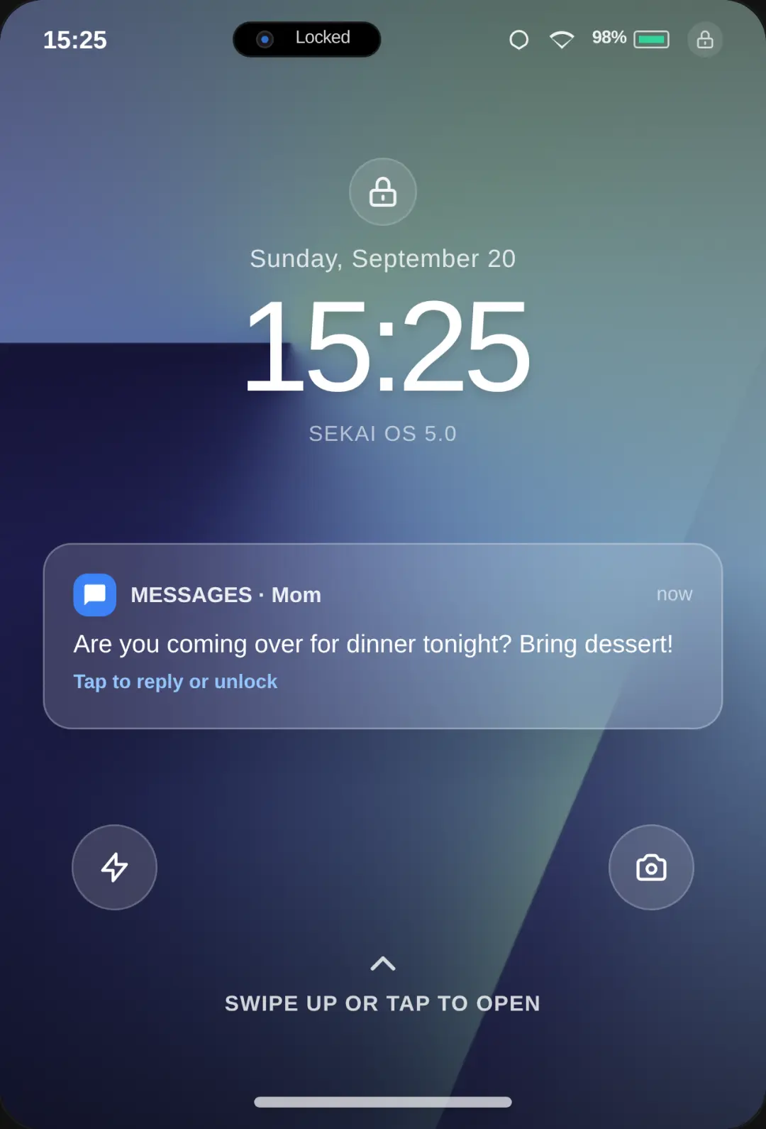 Phone Sim cover