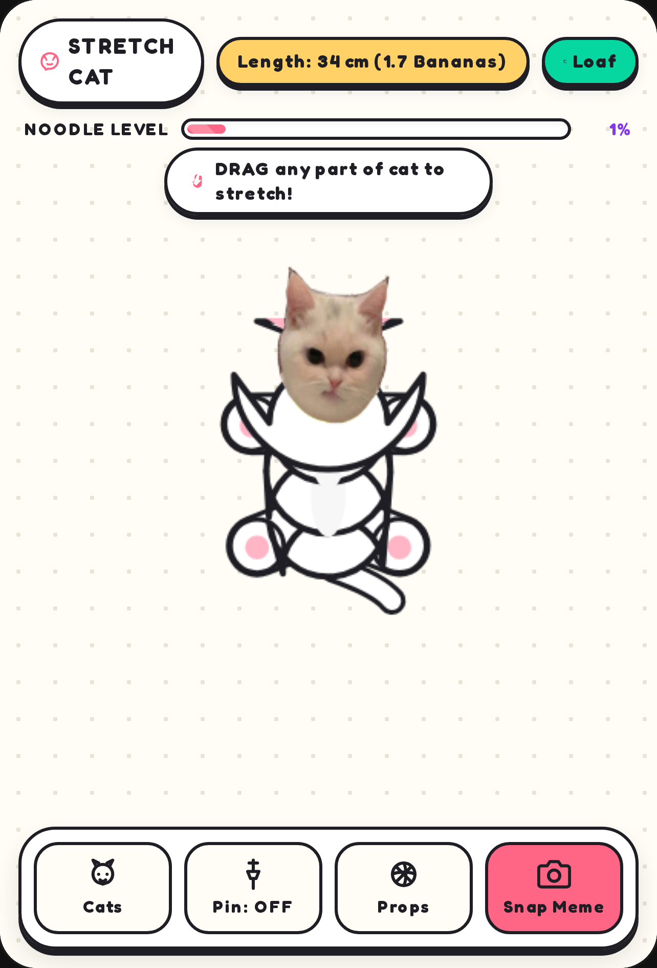 Stretch Meme Cat cover