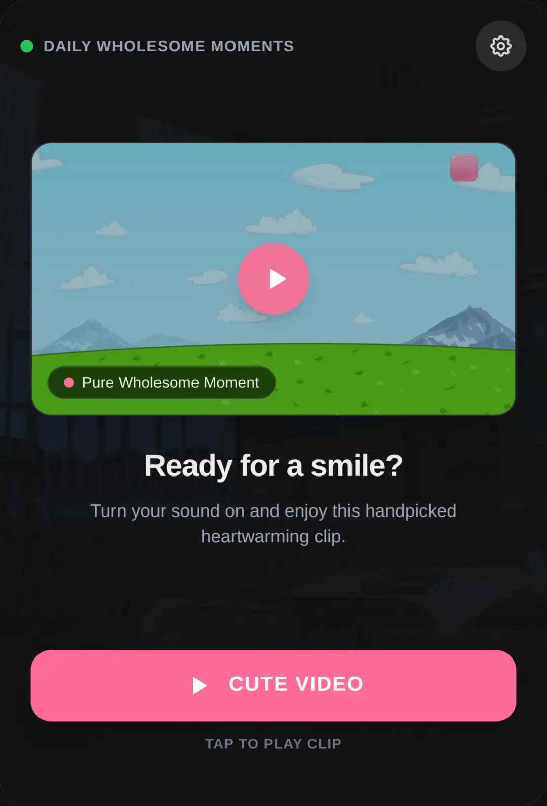 Cute Video cover