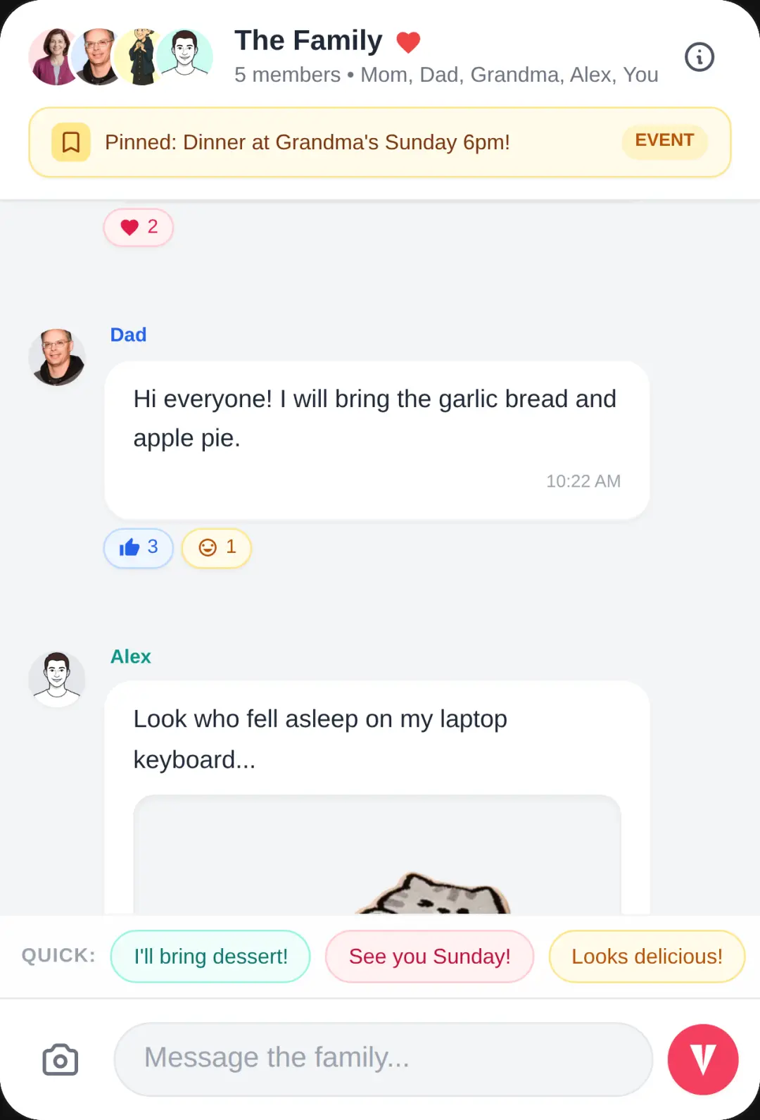 The Family Chat cover