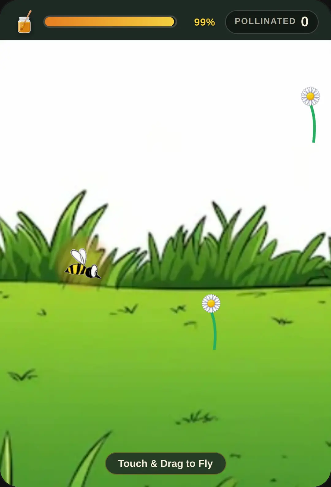 Bee Pollinator cover