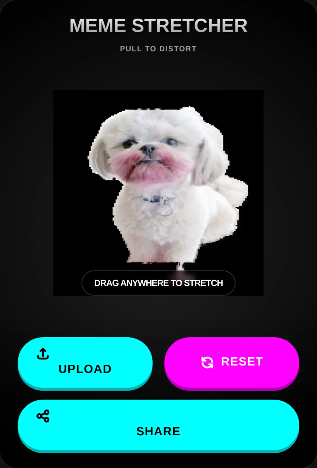 Meme Stretcher cover