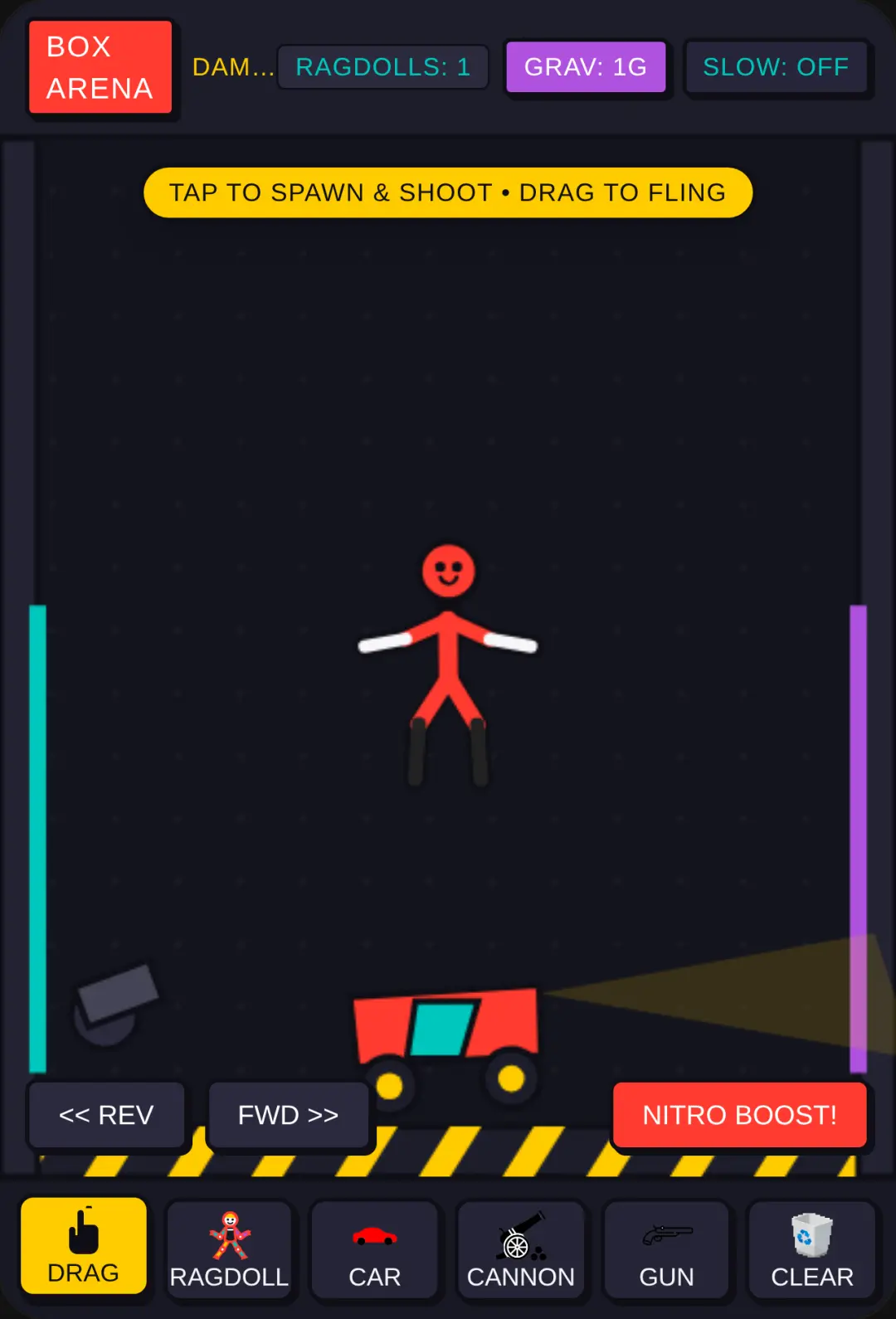 RAGDOLL CHAOS cover