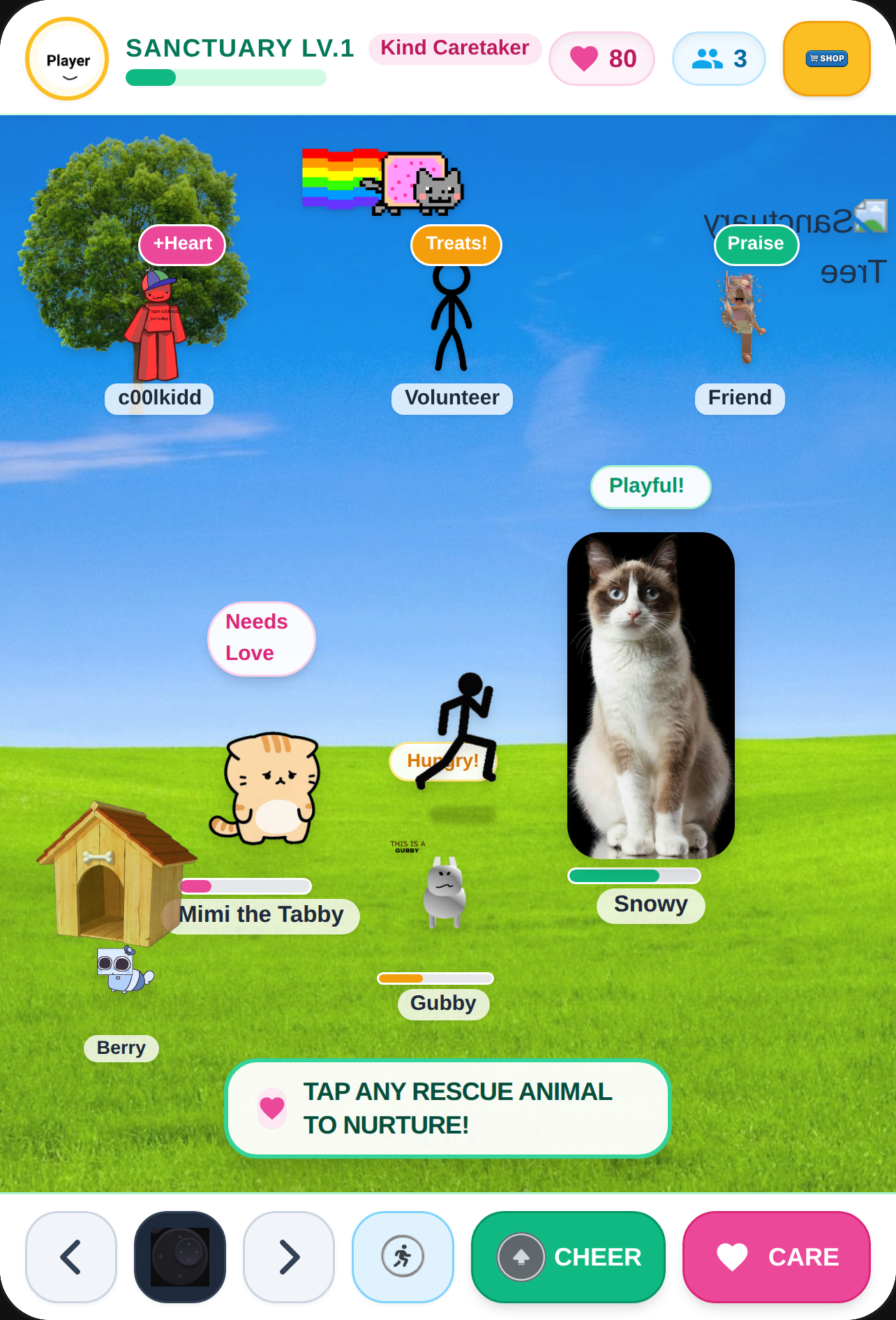 Kindness Sanctuary — Animal Caretakers cover