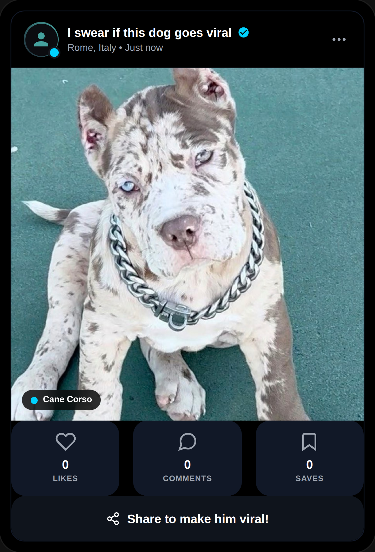 i swear if this dog goes viral cover