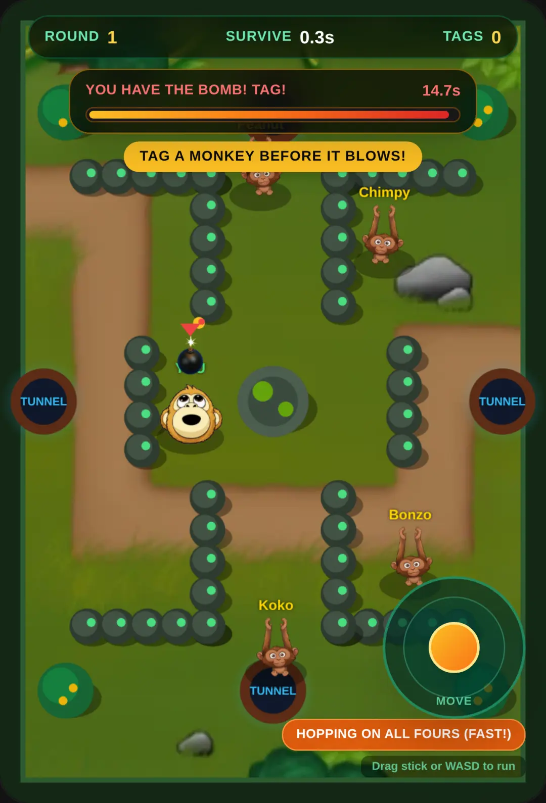 Monkey Bomb Frenzy cover