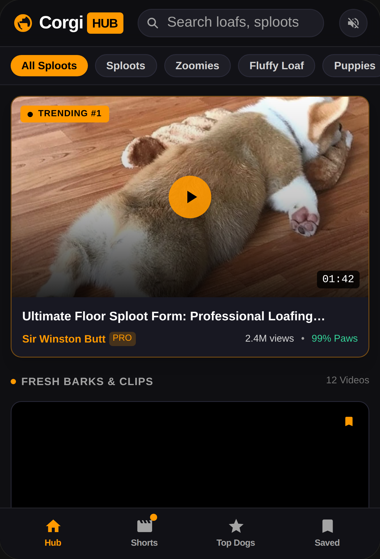 CorgiHub - Watch Adorable Corgi Videos & Shorts cover