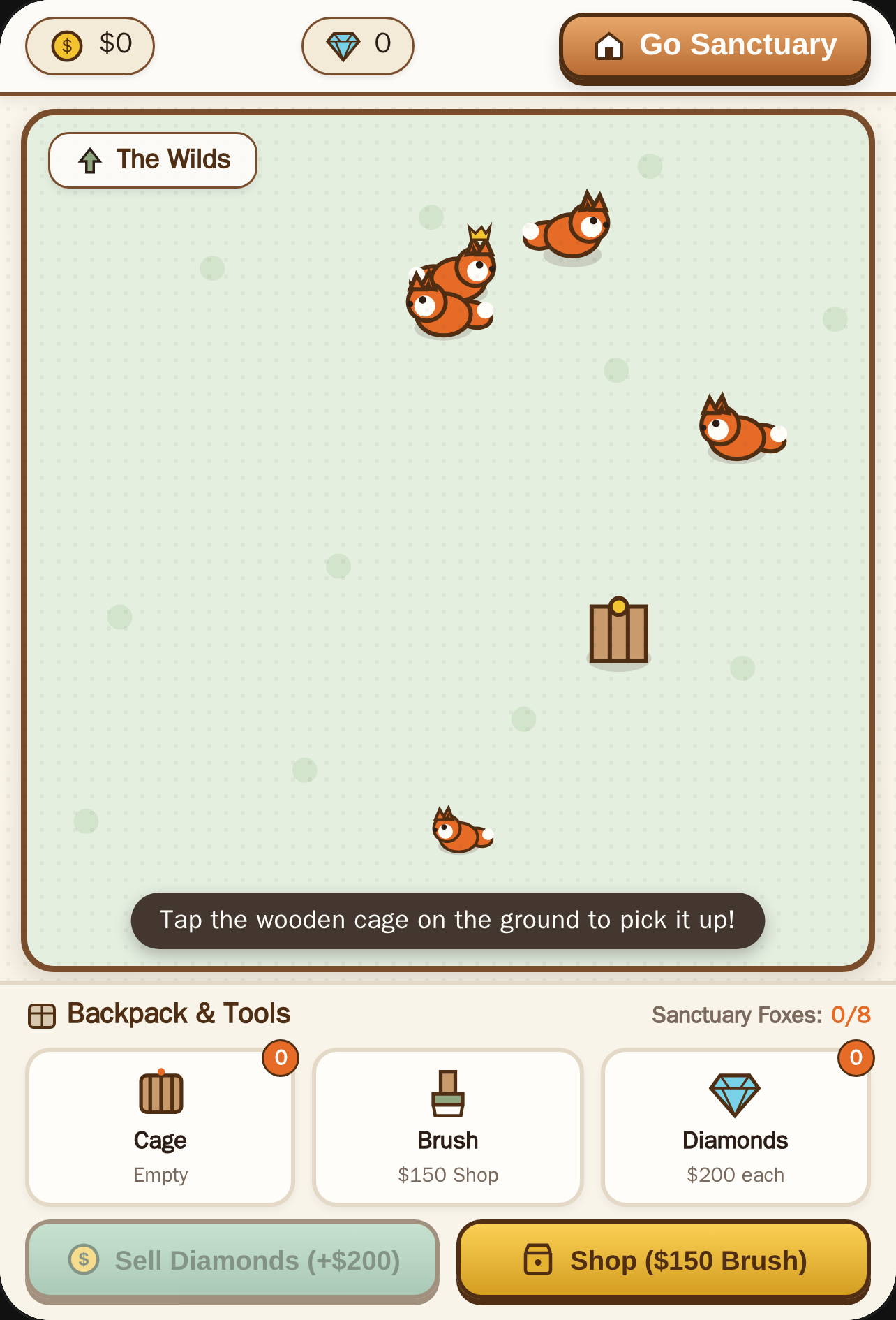 Cozy Fox Sanctuary cover