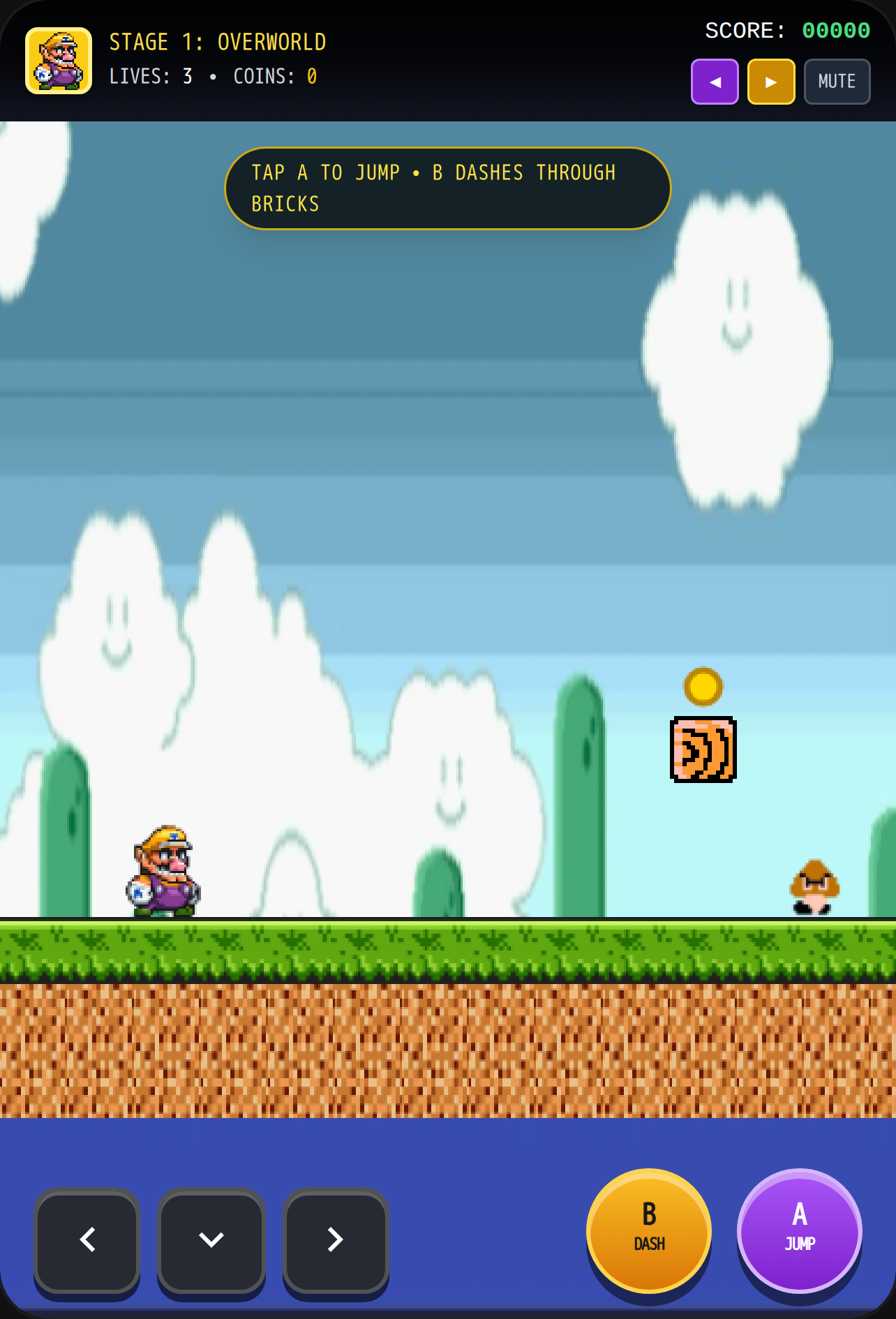 Wario Land DS cover