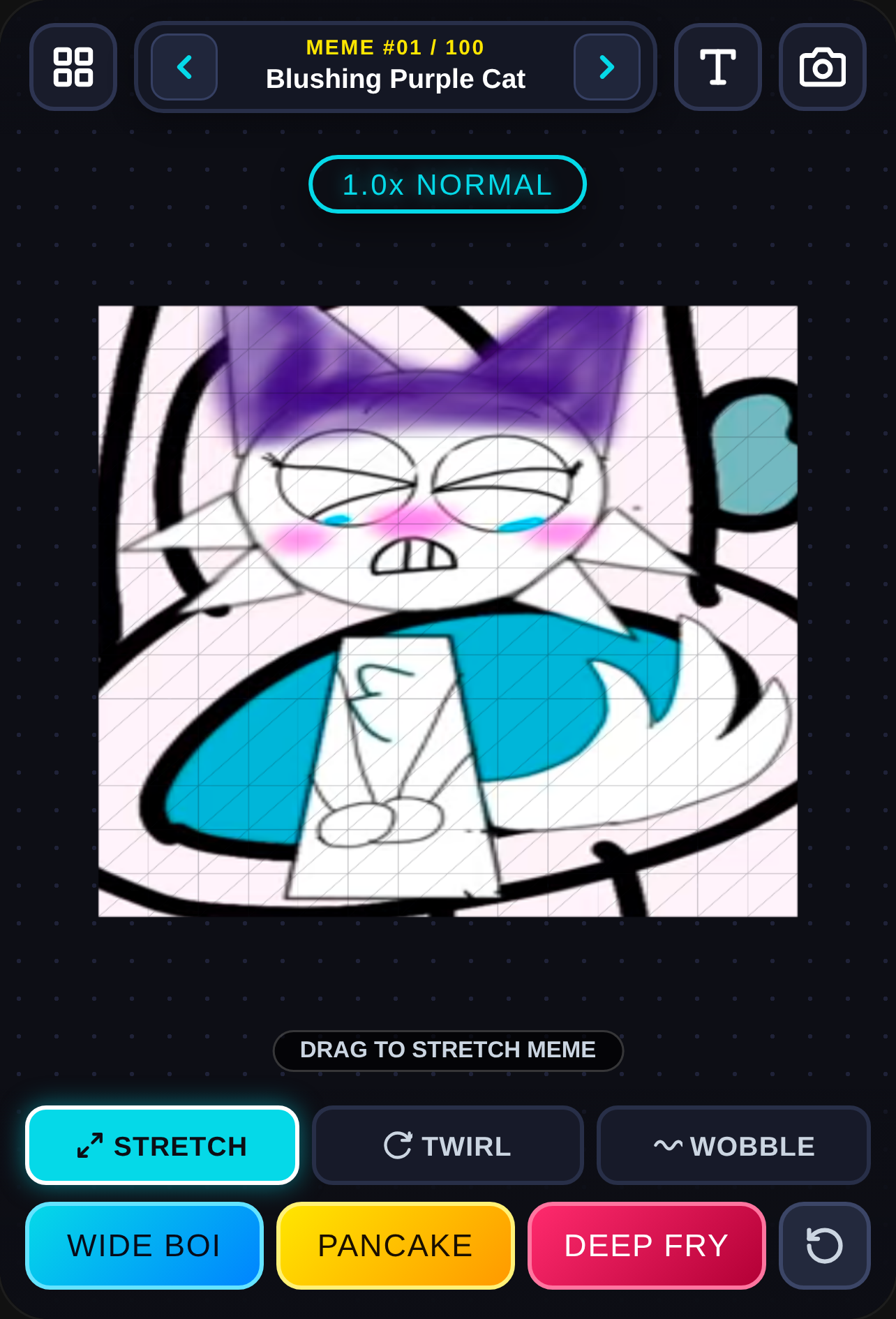 Meme Stretcher 100 cover