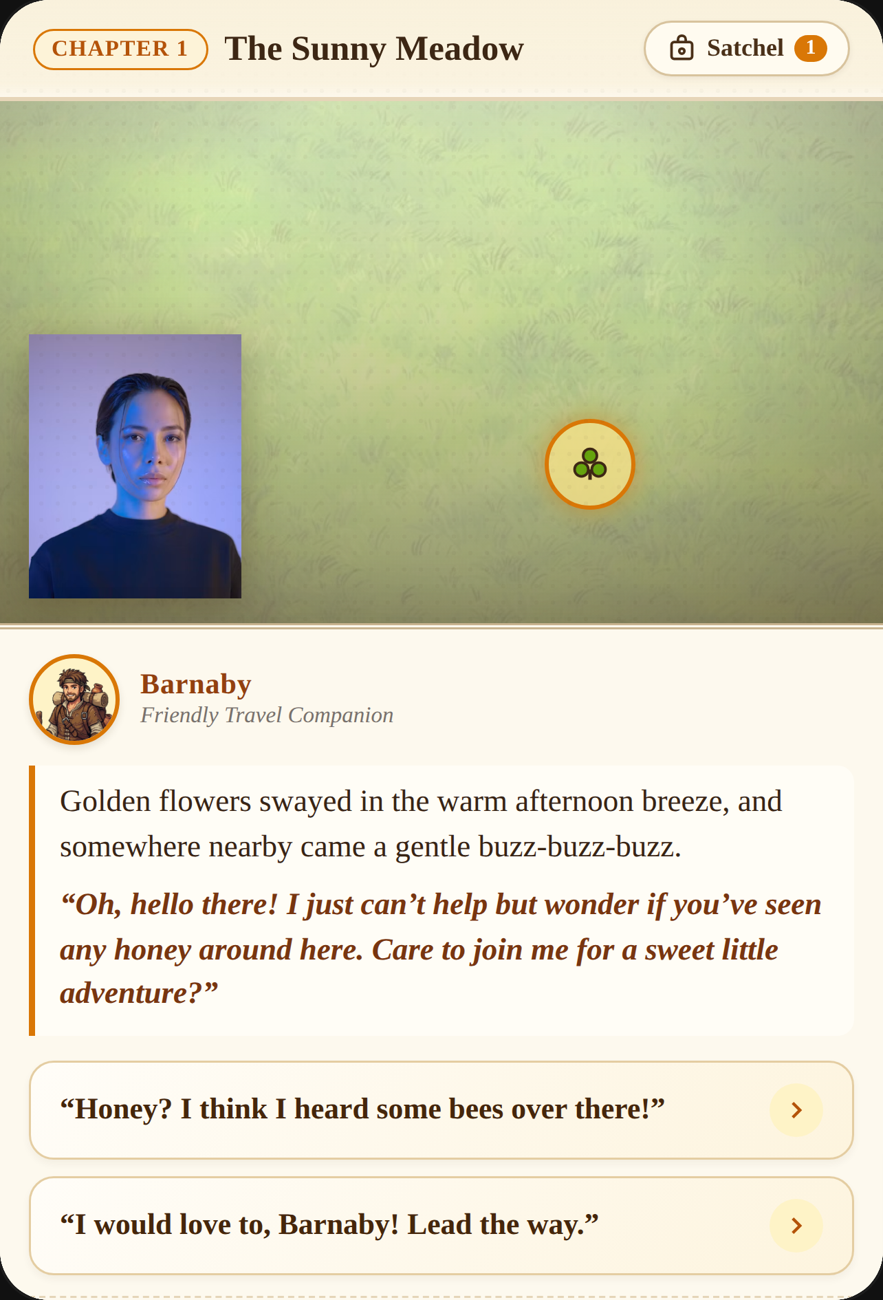 The Sweet Little Honey Adventure cover