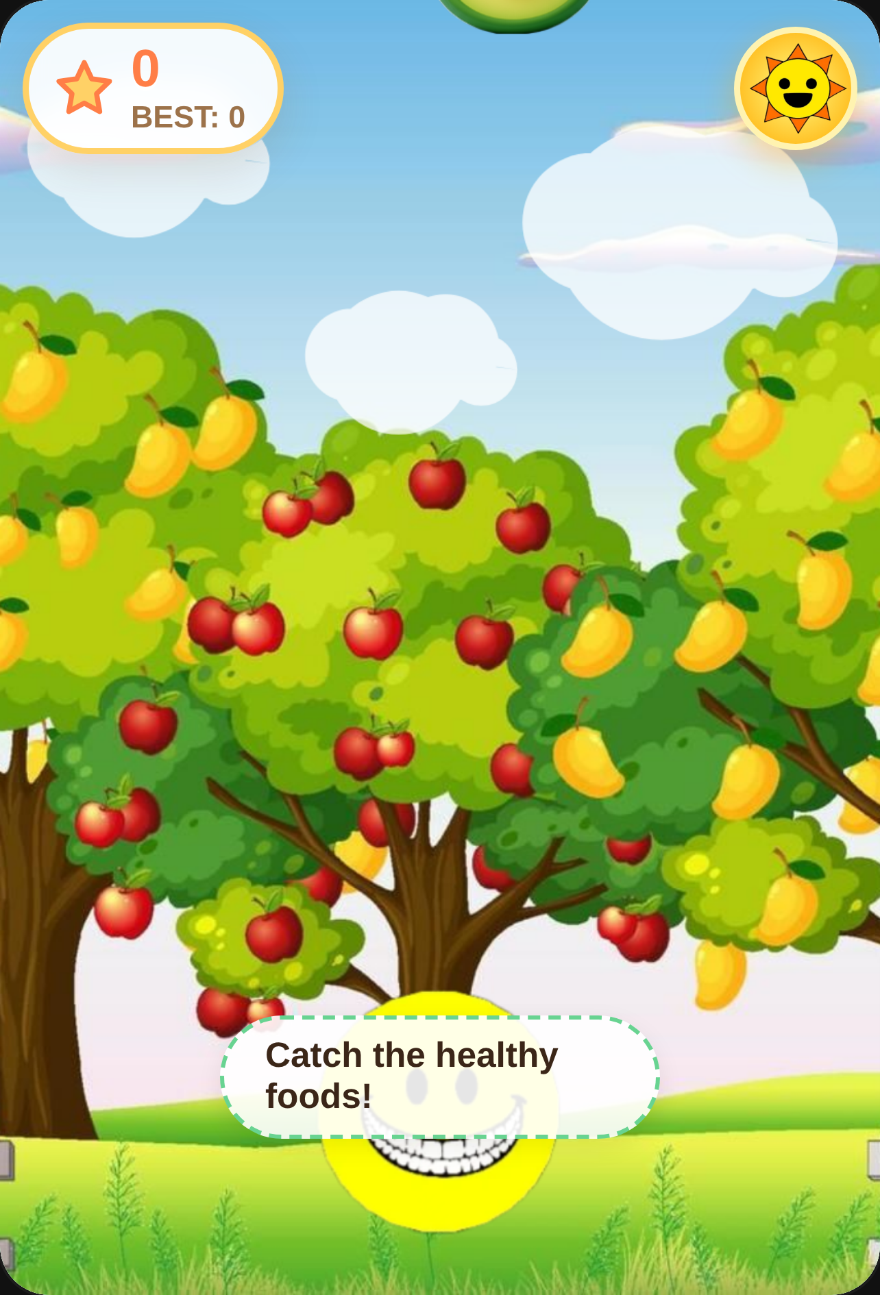 Happy Healthy Food Catcher cover