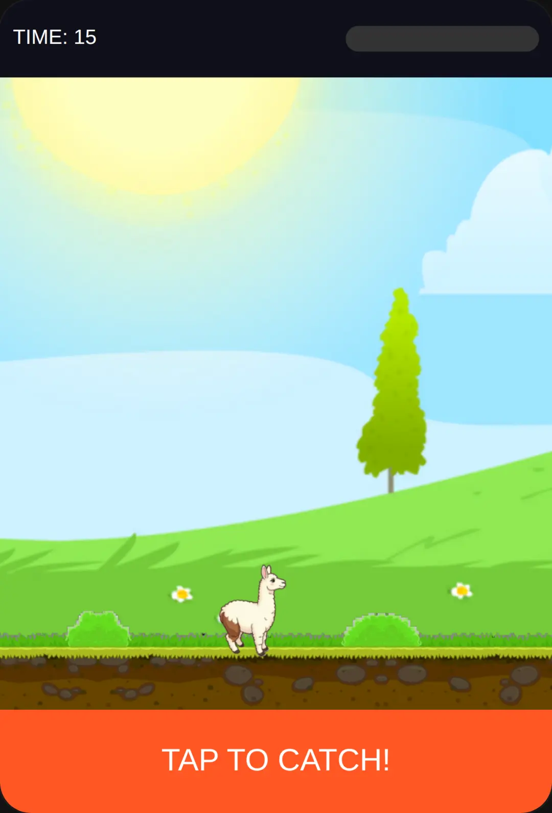 Llama Chase cover