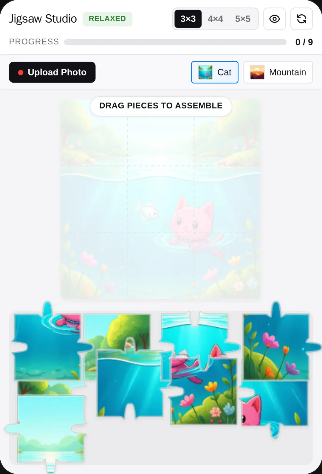 Puzzle cover