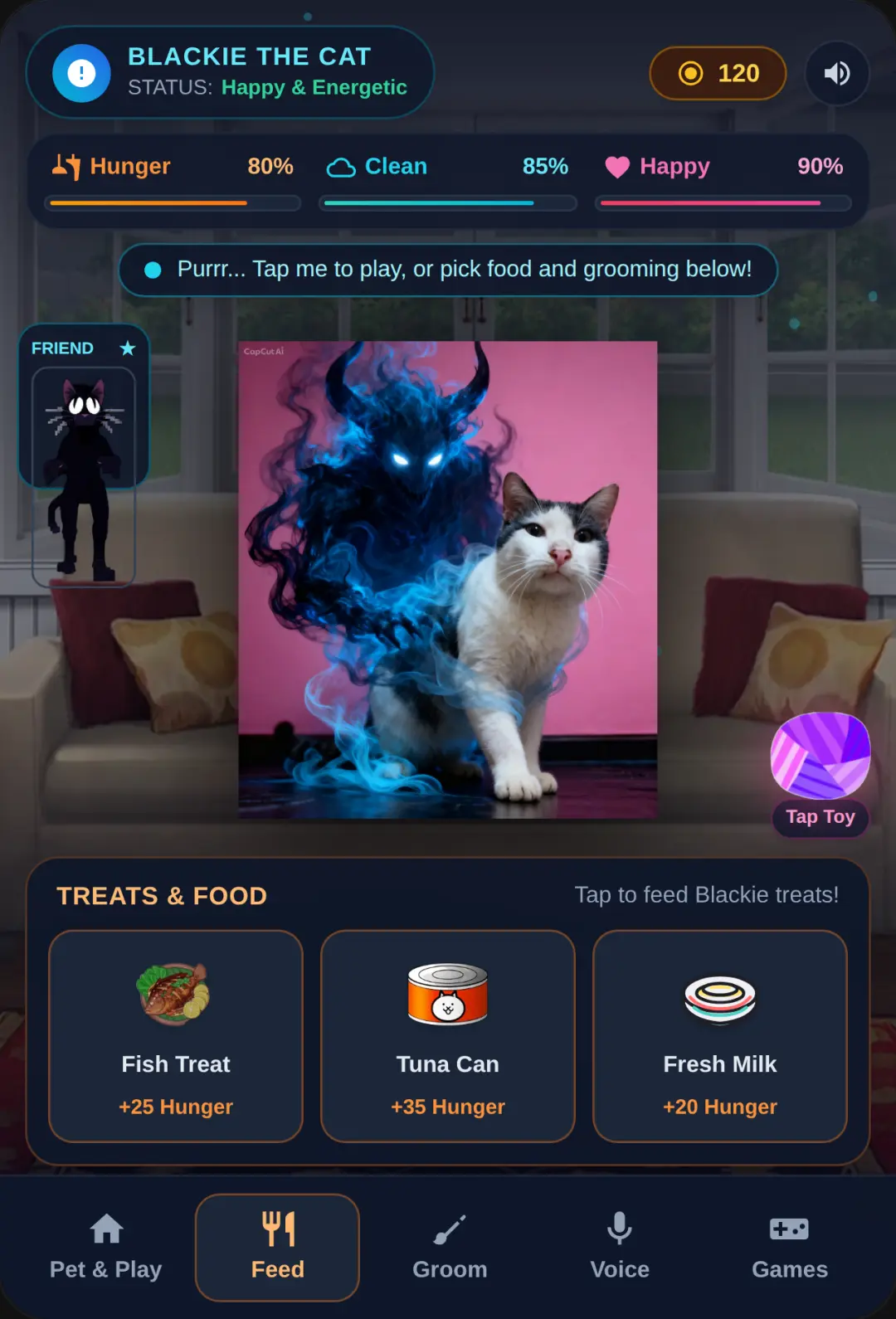 Talking Blackie - Virtual Cat Care cover
